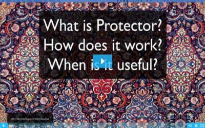 What Is Protector?