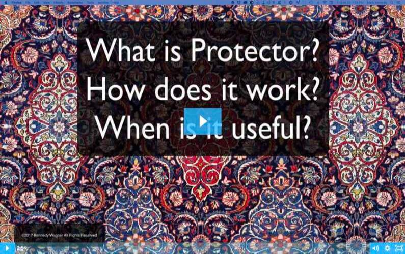 What Is Protector